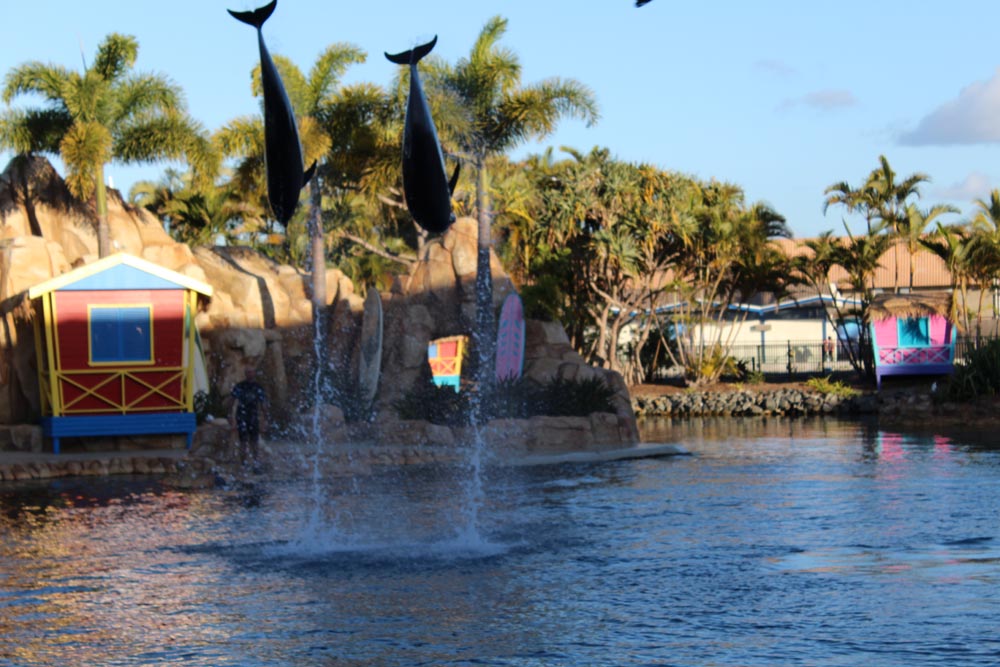 Tour Innovator - Innovating Your Destination