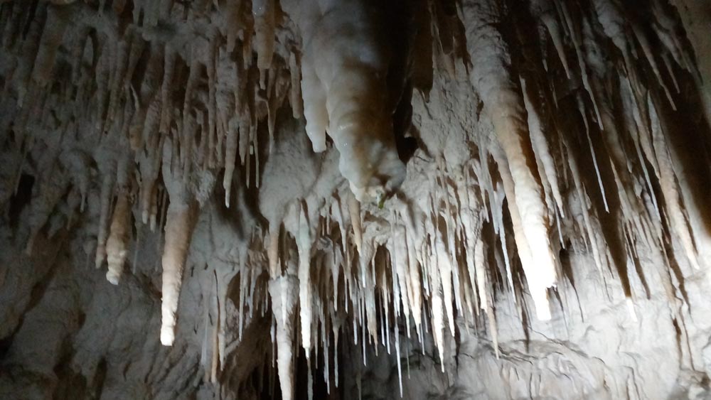 Tour Innovator - Innovating Your Destination